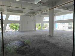 Upper Changi Road North (D17), Shop House #462677461